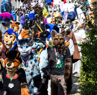 My First Furry Convention Helped Me Feel More Human