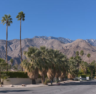 The Insider’s Guide to Palm Springs