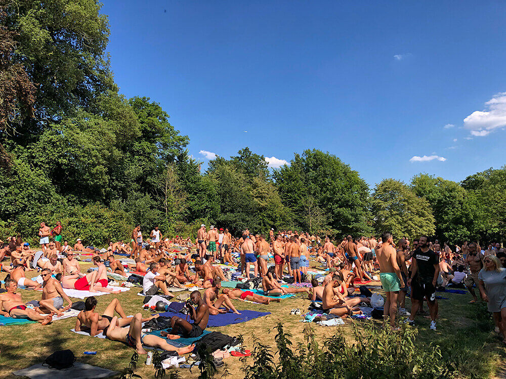 Hampstead Ponds