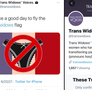 Please Stop Saying “Trans Widows”