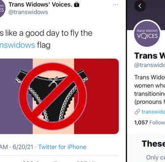 Please Stop Saying “Trans Widows”