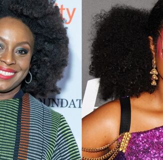 What is Chimamanda Ngozi Adichie’s Problem With Trans People?
