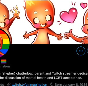A Trans, Disabled Streamer Was Pranked on Twitch. The Queer Community Responded in the Best Way.