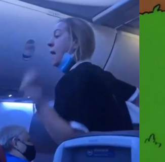 Airplane Karen Rails Against the Disney Homosexual Agenda on Dallas Flight
