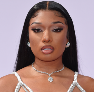 Megan Thee Stallion Calls Out Homophobia in the Rap Industry