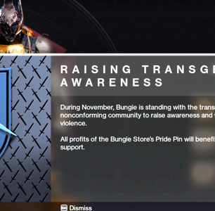 Destiny 2 Shows Solidarity with Trans People & Offers Collectibles to Support Charity