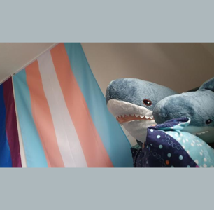 How a Stuffed IKEA Shark Became a Trans Icon