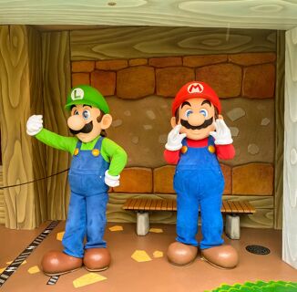 Japanese Law Might Not Recognize Same-Sex Marriage Yet, But Nintendo Japan Does
