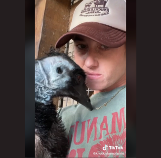 The Tale of the Racist Lesbian Emu Farmer is Shaking the Internet
