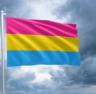 The History of the Pansexual Pride Flag 