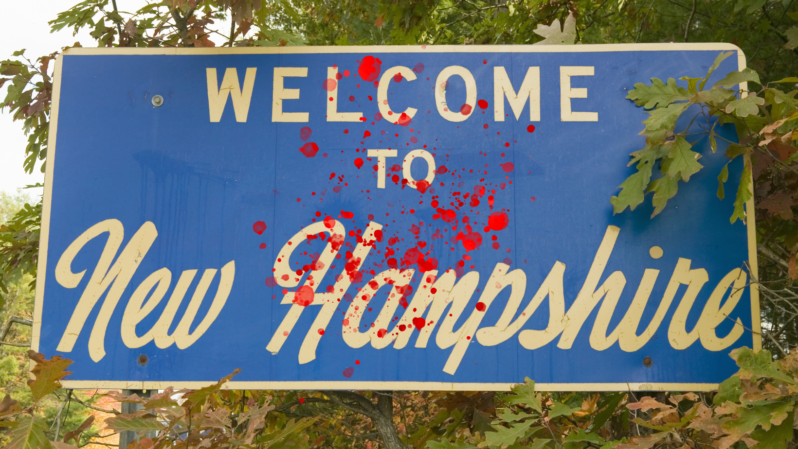 Anti-Trans Gays are Turning New Hampshire Into the Next Transphobic Battleground