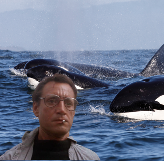 The Internet Agrees: Killer Orcas Should Probably Attack JK Rowling’s Yacht