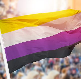 All About the Nonbinary Pride Flag