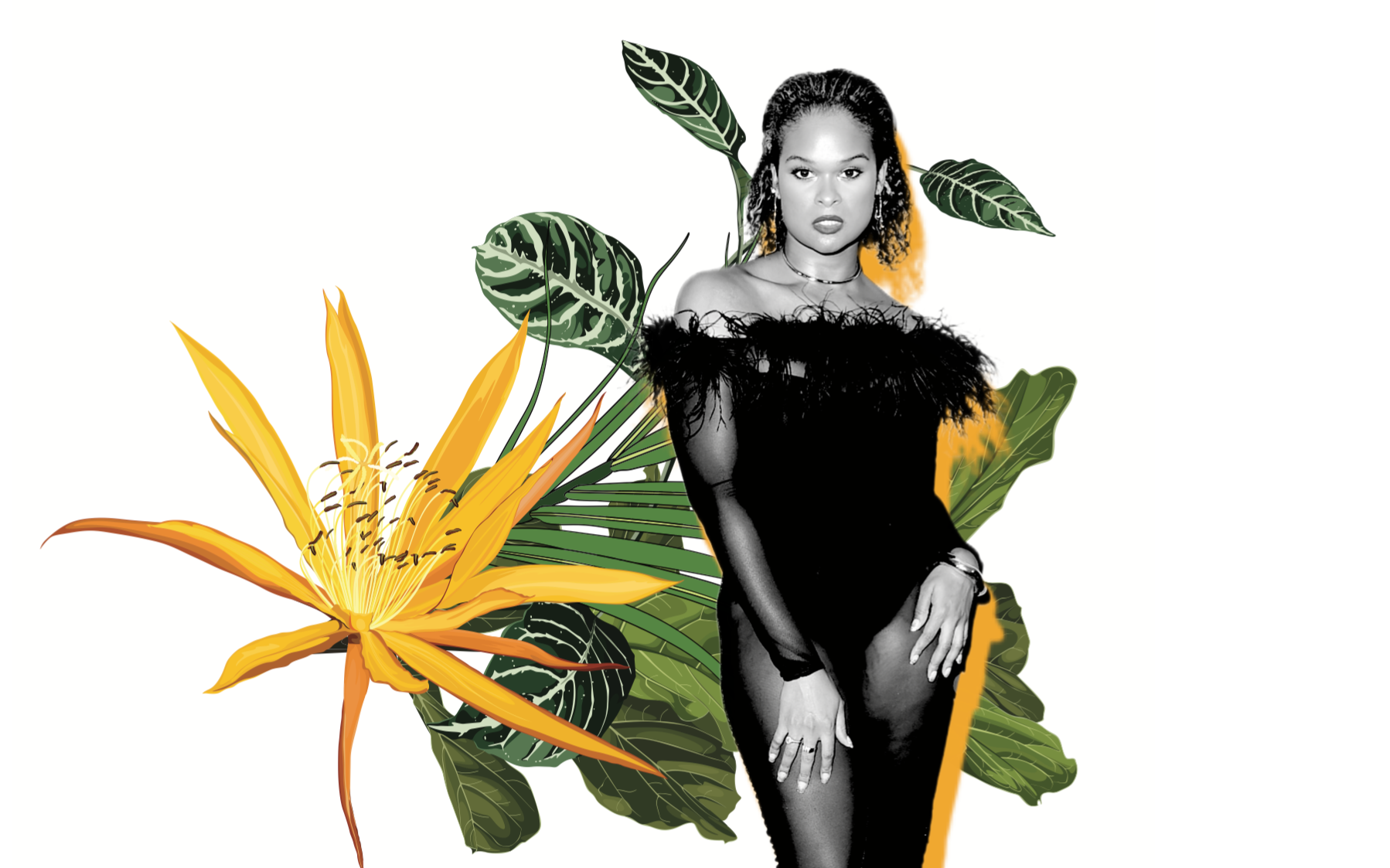 How chaotic creativity fueled Raquel Willis to write her new memoir - Vimarsana News