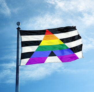 The Ally Pride Flag