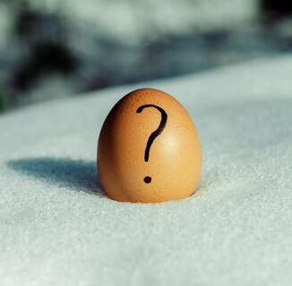 What is a transgender egg and is it okay to identify as one?