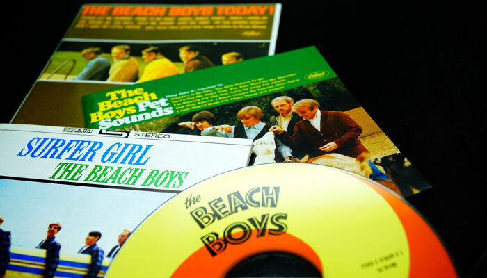 Did the Beach Boys write a secret queer anthem?