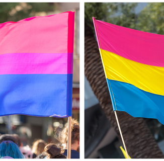 This ‘bisexual vs. pansexual’ discourse teaches an important lesson about labels